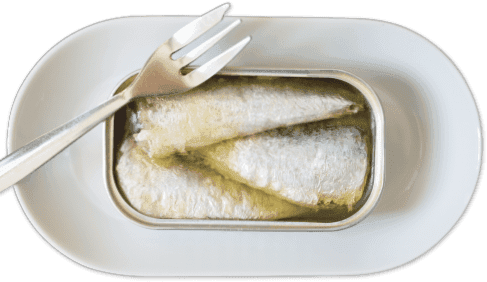 Sardines